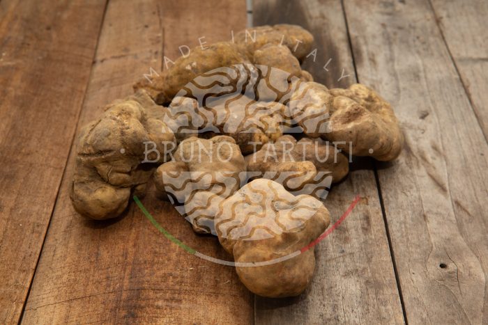 4D__8621 Tartufo Bianco Pregiato