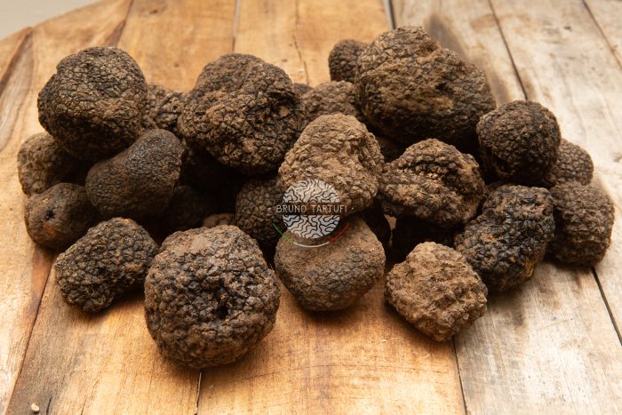 TARTUFO NERO UNCINATO
