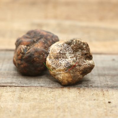 bianchetto TARTUFO BIANCHETTO
