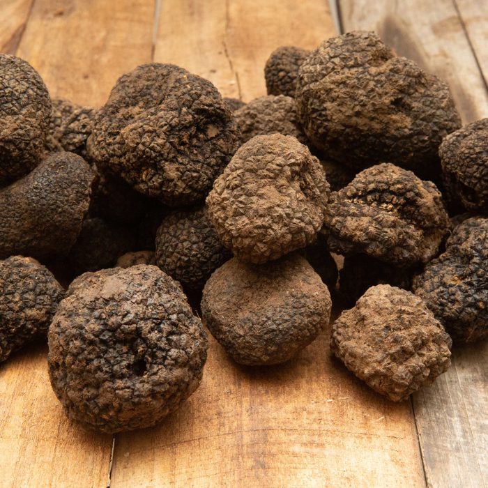 4D__8641 TARTUFO NERO ESTIVO